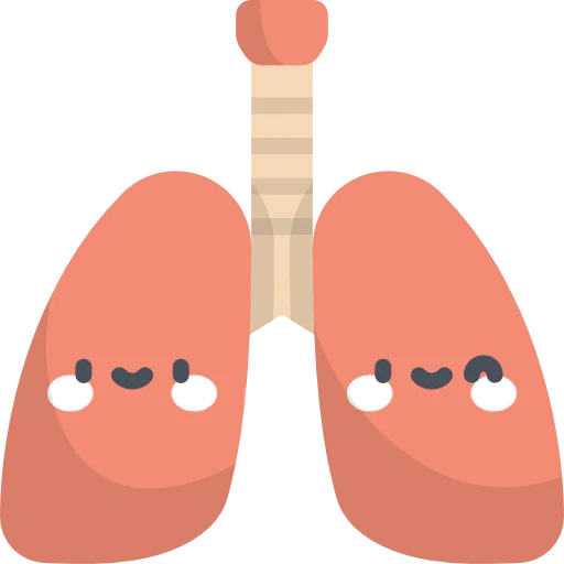 Lungs icon
