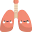 Lungs icon 64x64