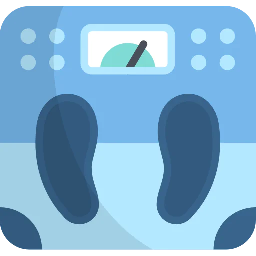 Scale icon