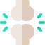 Femur icon 64x64