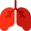 Lungs icon 64x64