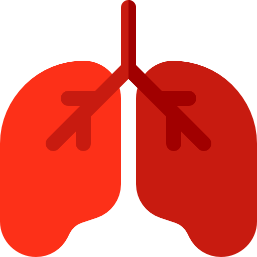 Lungs icon