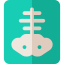 X ray icon 64x64