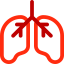 Lungs icon 64x64