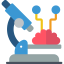 Brain icon 64x64