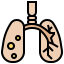 Lung Symbol 64x64