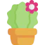 Cactus icon 64x64