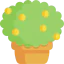 Bush icon 64x64