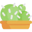 Cactus icon 64x64