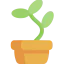 Plant pot icon 64x64