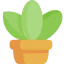 Plant pot icon 64x64