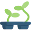 Seeding icon 64x64