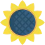 Sunflower icon 64x64