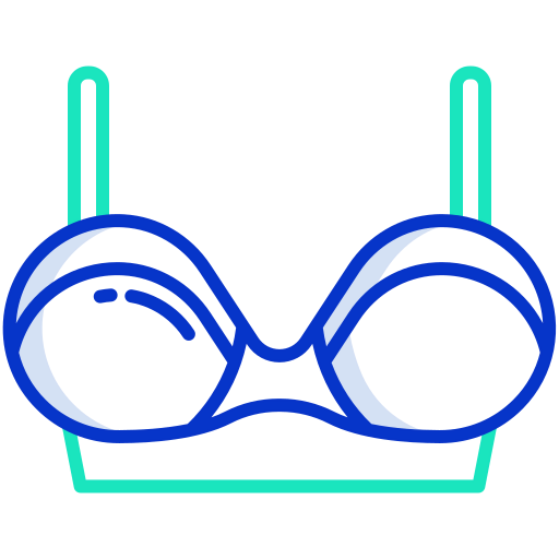 Bra icon