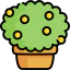 Bush icon 64x64