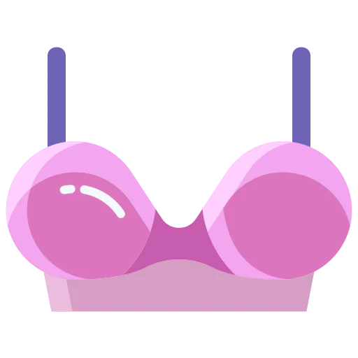 Bra icon