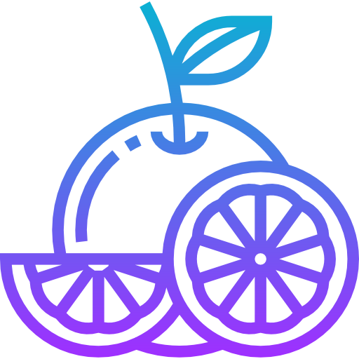 Orange icon