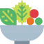 Salad icon 64x64