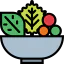 Salad icon 64x64