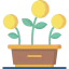 Growth 图标 64x64