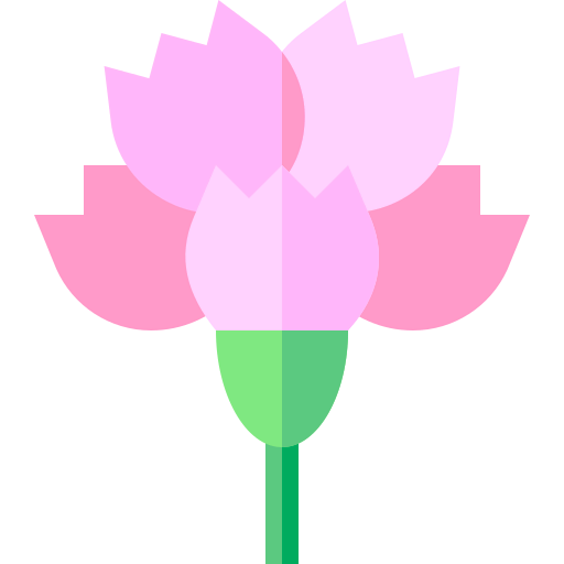 Carnation icon