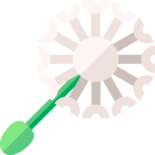 Dandelion icon