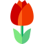 Tulip icon 64x64