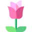 Rose icon 64x64
