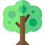 Fruit tree アイコン 64x64