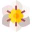Gardenia icon 64x64
