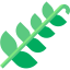 Fern 图标 64x64