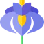 Iris icon 64x64