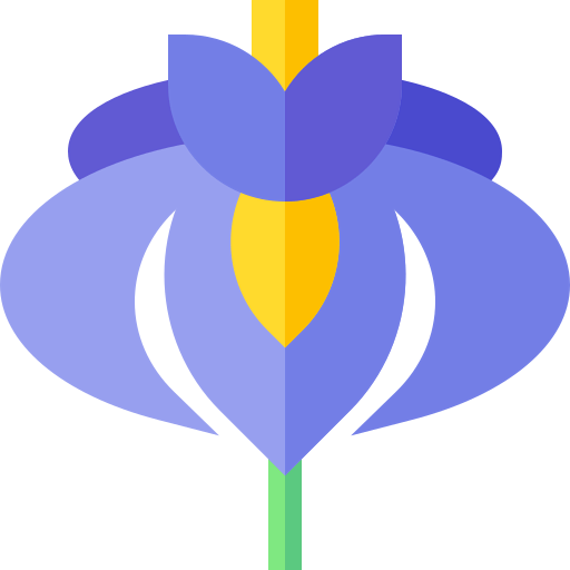 Iris icon