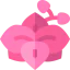 Orchid icon 64x64