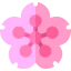 Cherry blossom icon 64x64
