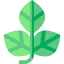 Leaf icon 64x64