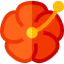 Hibiscus icon 64x64