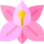 Lily icon 64x64