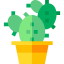 Cactus icon 64x64