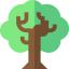 Oak іконка 64x64