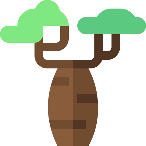 Baobab icon