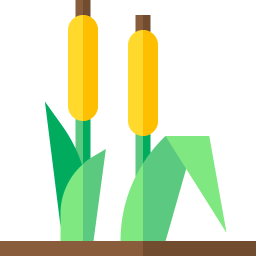 Reed icon