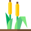 Reed ícono 64x64