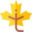 Maple leaf icon 64x64