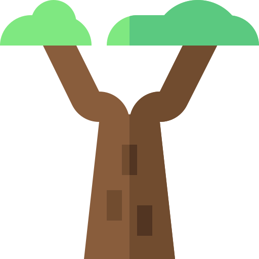 Baobab icon
