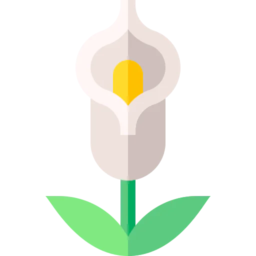 Calla icon