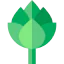 Artichoke biểu tượng 64x64