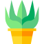 Aloe vera icon 64x64