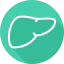 Liver icon 64x64