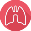 Lungs icon 64x64